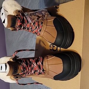 NEW UGG Ashton Addie Waterproof Boot  (Wheat)